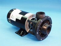 Aqua-Flo FMCP Pump,1.5 Hp, 2 speed, 120 Volt