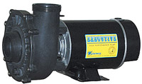 Executive 48 Frame Pump, 1Hp,115V,2 speed