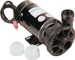 Aqua-Flo Replacement Pump 2 Hp, 2 speed, 115 Volts 