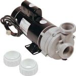 Vico Replacement Spa Pump, 2 HP, 2 Speed, 230 Volt 