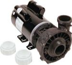 Waterway Replacement Spa Pump, 1.5 HP, 2 Speed, 115 Volt