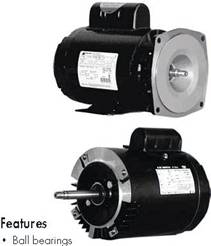 AO Smith Century APC Motor (fits new Polaris pumps P-61 motor)