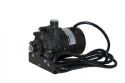 6000-125, Sundance Spas Circulation Pump, 240 Volt,