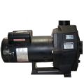 Hayward 3500 Pumps used on Sundance® Spas 1993-1995