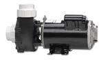 Sundance® Spas Pumps 1996 Only