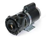 Sundance Spas LX 56 Pump