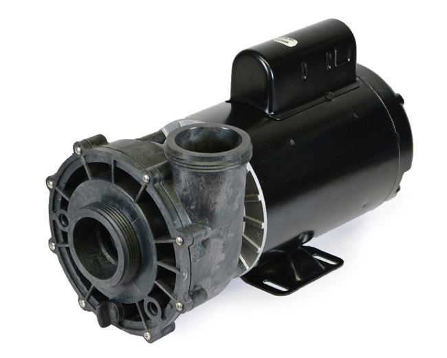 Sundance Spas Pump 6500903