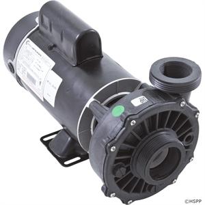Waterway Hi-Flo 3 HP 2 Speed Pump 3421221-10 3421221-10
