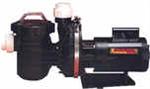 Dominator Pump